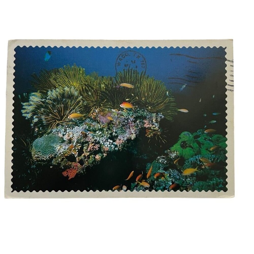 Vintage Postcard  Kensuke Yokoi  Ocean Reef Non Topographical Continental u